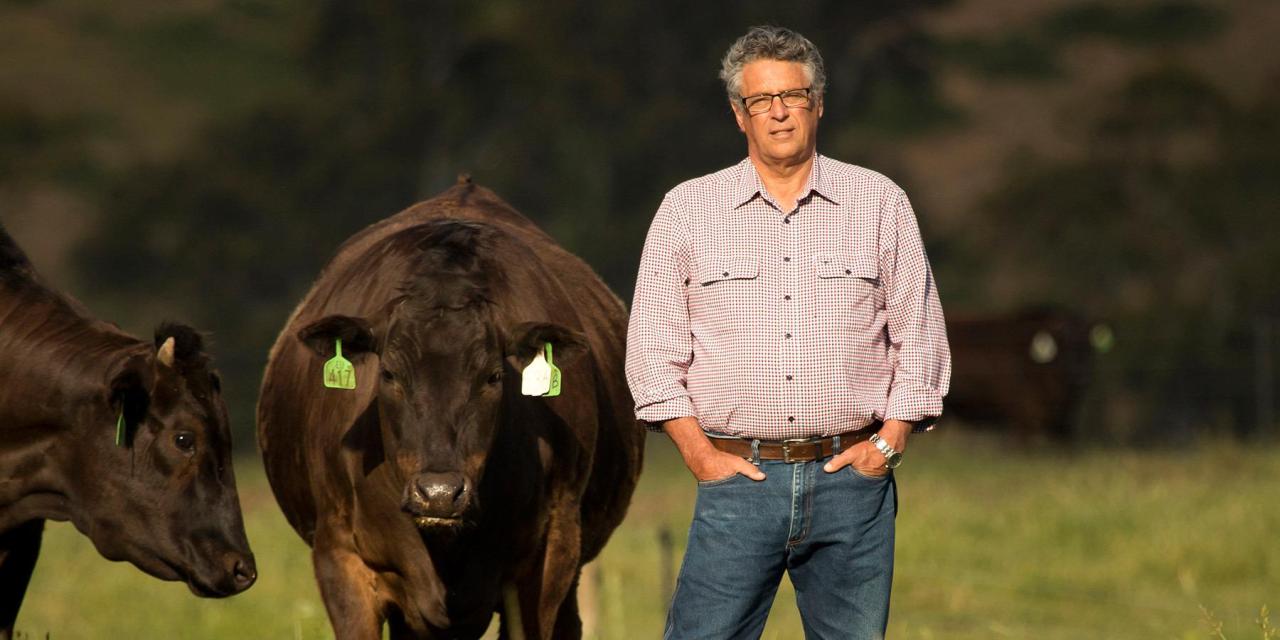 L’élevage d’exception du Wagyu Australien de la famille Blackmore